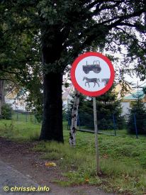 (click to enlarge - anklicken zum Vergroessern)