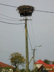 click to enlarge - anklicken zum Vergroessern