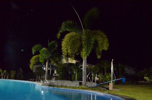 Palmen am Pool im Garten bei Nacht