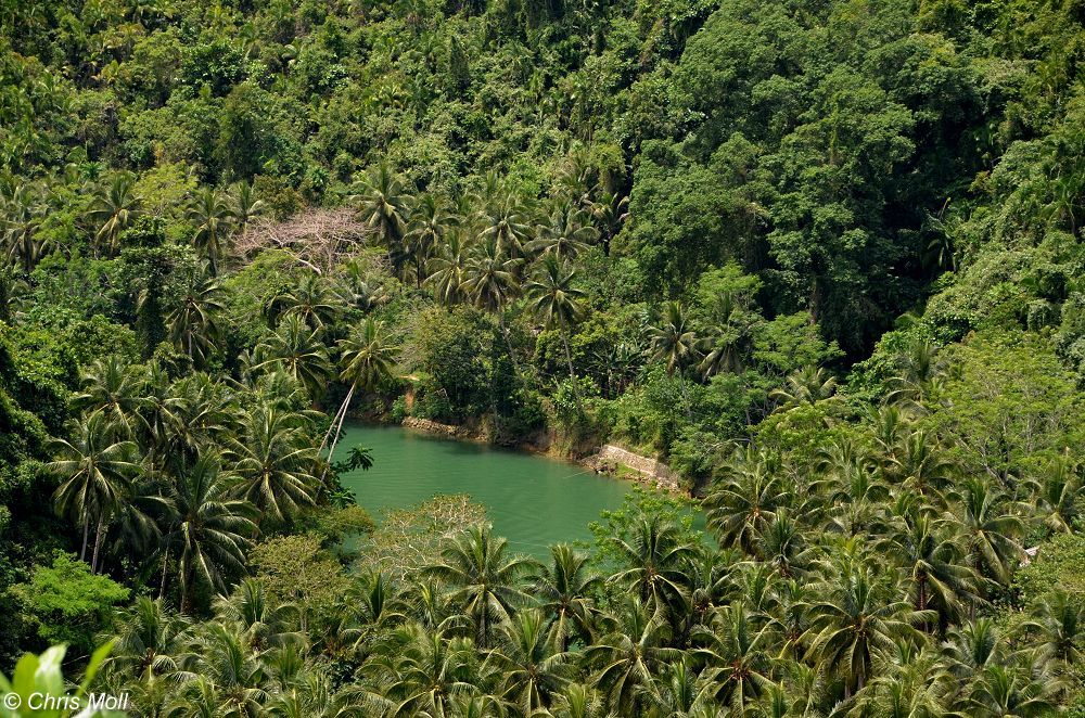 Bohol: Loboc River